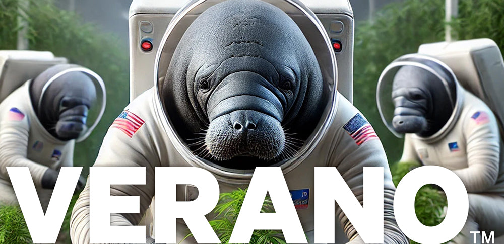 Inside Verano’s Cultivation Facility