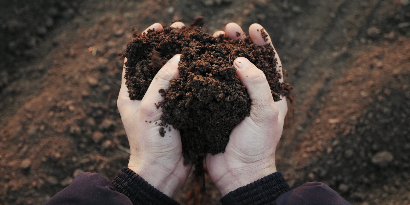 How to Get More From Your Soil