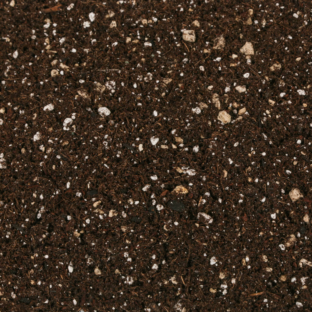 Coco Peat Soil - Optimized Water Holding Capacity