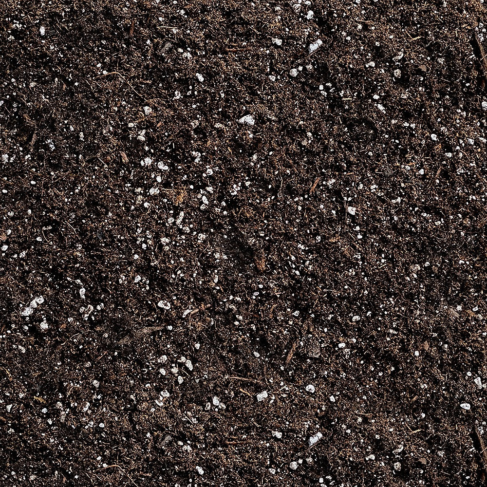Mother Earth Terracraft Potting Soil – Low-Maintenance All-Purpose Mix